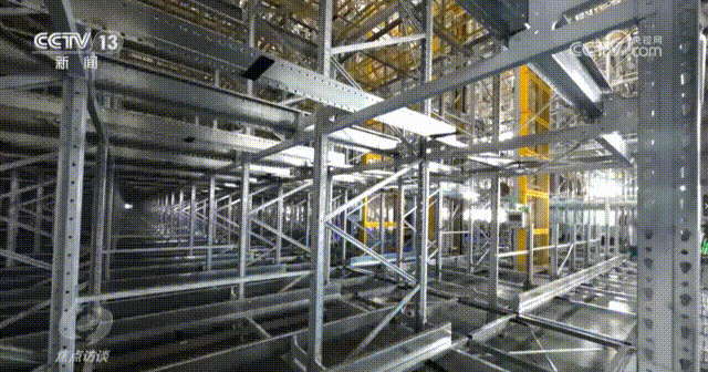 Pallet shuttles and Pallet AMRs working in Zichen Technology's high-density intelligent warehouse